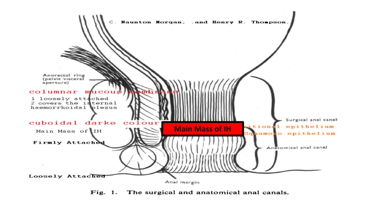 15 Approach each sectoe Uniqly.pptx.jpg